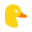 Optimizer Duck